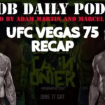 UFC-Vegas-75-Vettori-Cannonier-Recap