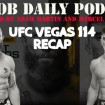 UFC-Vegas-114-Recap-Vallejos-Emmett
