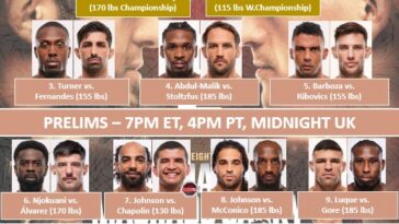 UFC-330