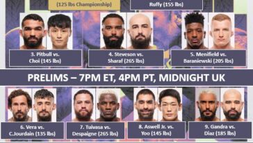 UFC-331